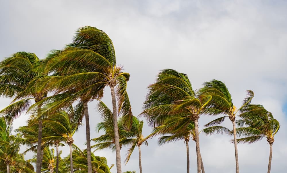 Commercial Real Estate Investors Assume Stable Income After Disasters – That’s Now Indefensible