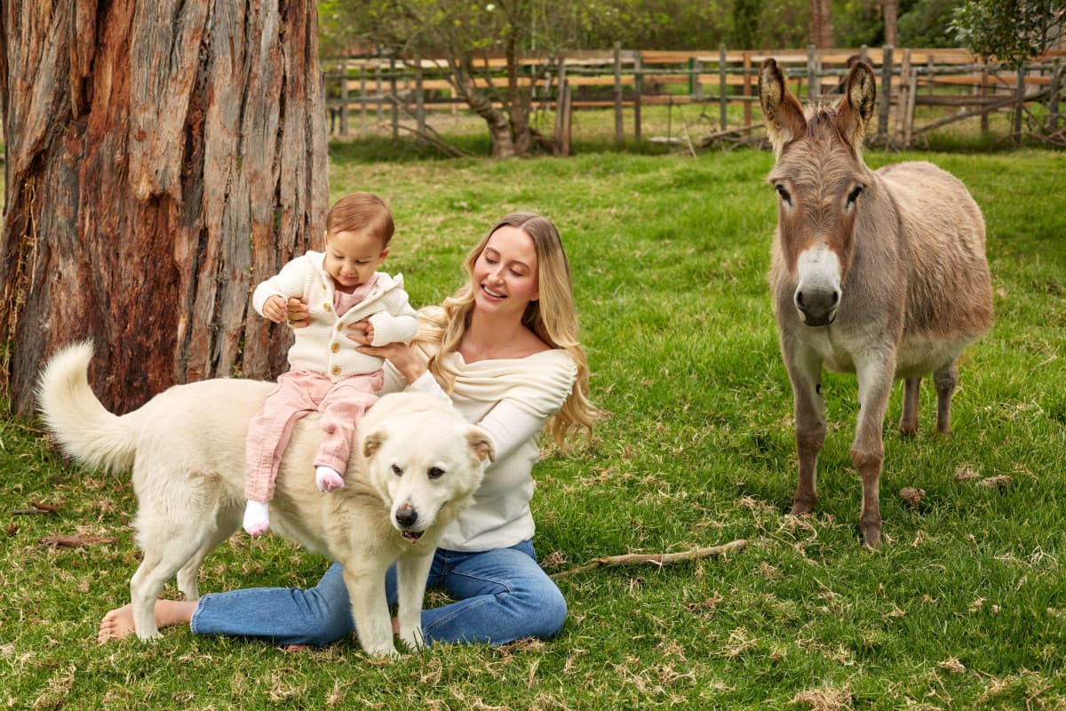 Search Atlas Founders Open Animal Sanctuary in Colombia, Home to Over 30 Rescued Animals