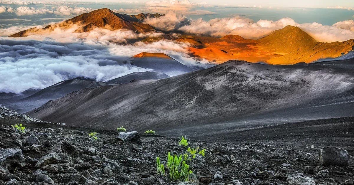 This Week Hawaii Marks 60 Years with Launch of Hybrid Media Initiative and Digital Tracking Tools