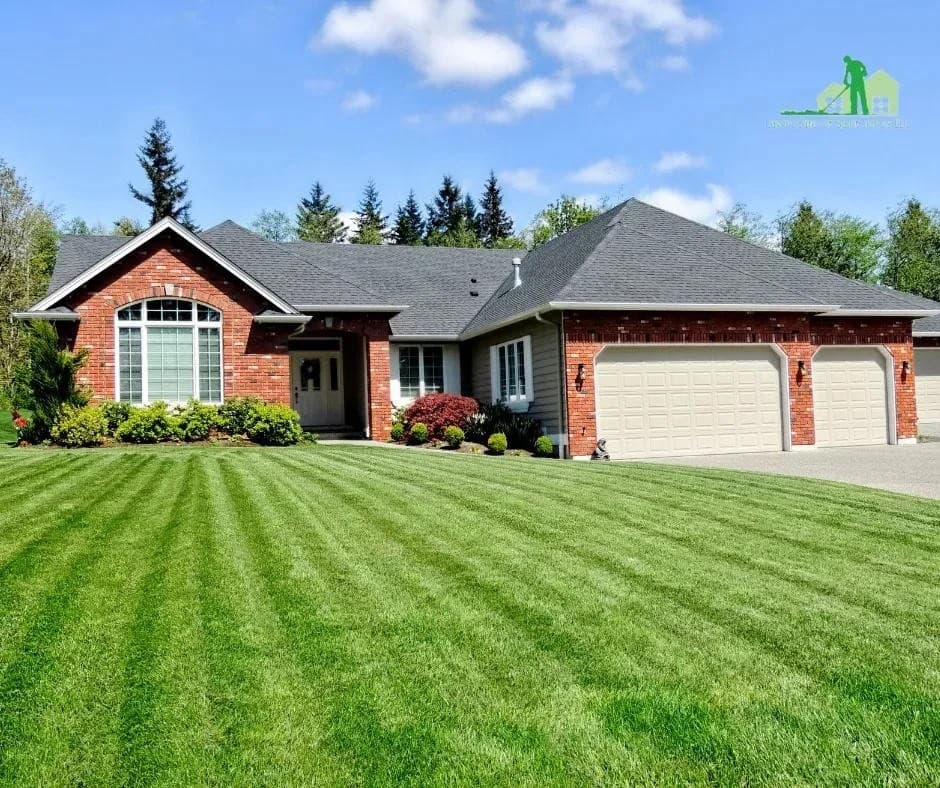 Lawn Care of Saint Johns Launches Pet-Safe Lawn Treatment Options