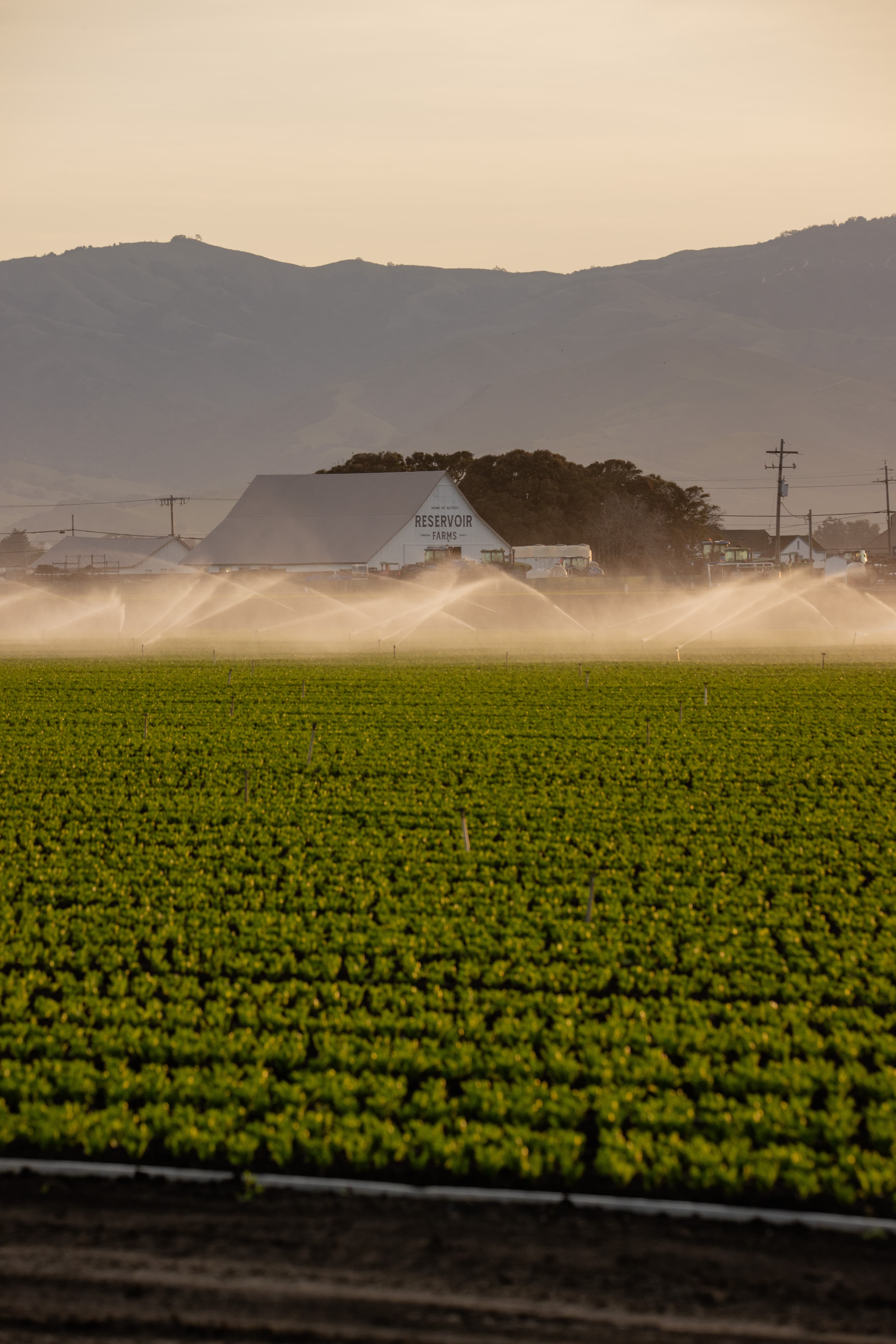 Reservoir Launches Free Associate Tier to Lower Barriers for AgTech Field Testing