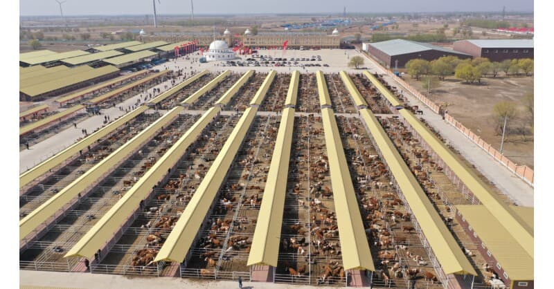 Hinggan League’s Agricultural, Cultural and Tourism Consumption Carnival Opens in Beijing