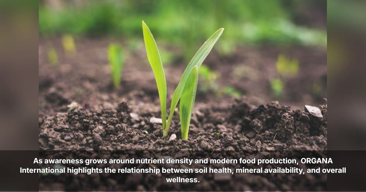 ORGANA International Highlights the Critical Link Between Soil Health and Human Nutrition