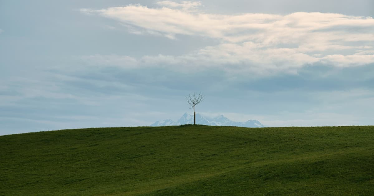 Wind and Solar Income Rivals Major Farm Commodities, New RMI Research Shows