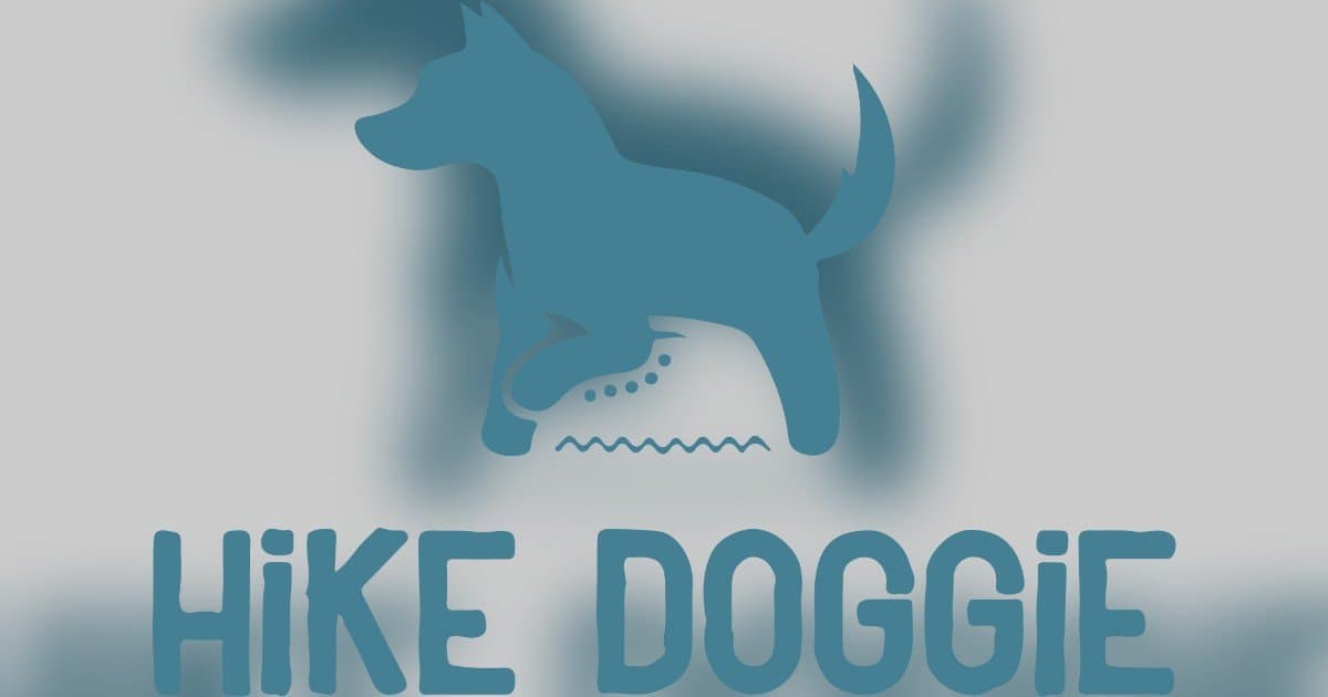 Denver Dog's Hilarious 5-Star Yelp Review Goes Viral, Capturing the Essence of Hike Doggie's Mission